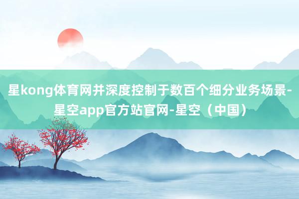 星kong体育网并深度控制于数百个细分业务场景-星空app官方站官网-星空(中国)