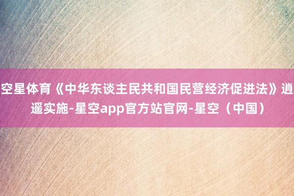 空星体育《中华东谈主民共和国民营经济促进法》逍遥实施-星空app官方站官网-星空(中国)